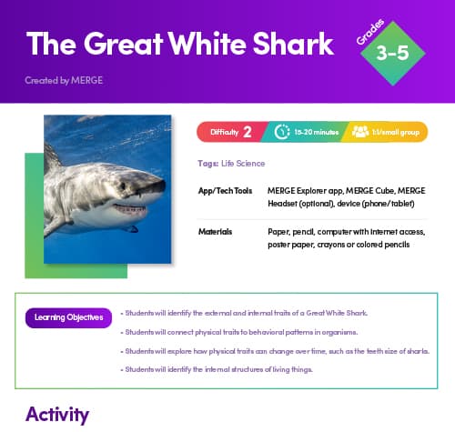 Great White Shark