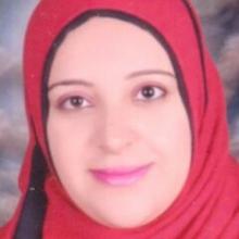 Mai Mohamed Abdel Lataif Sayed